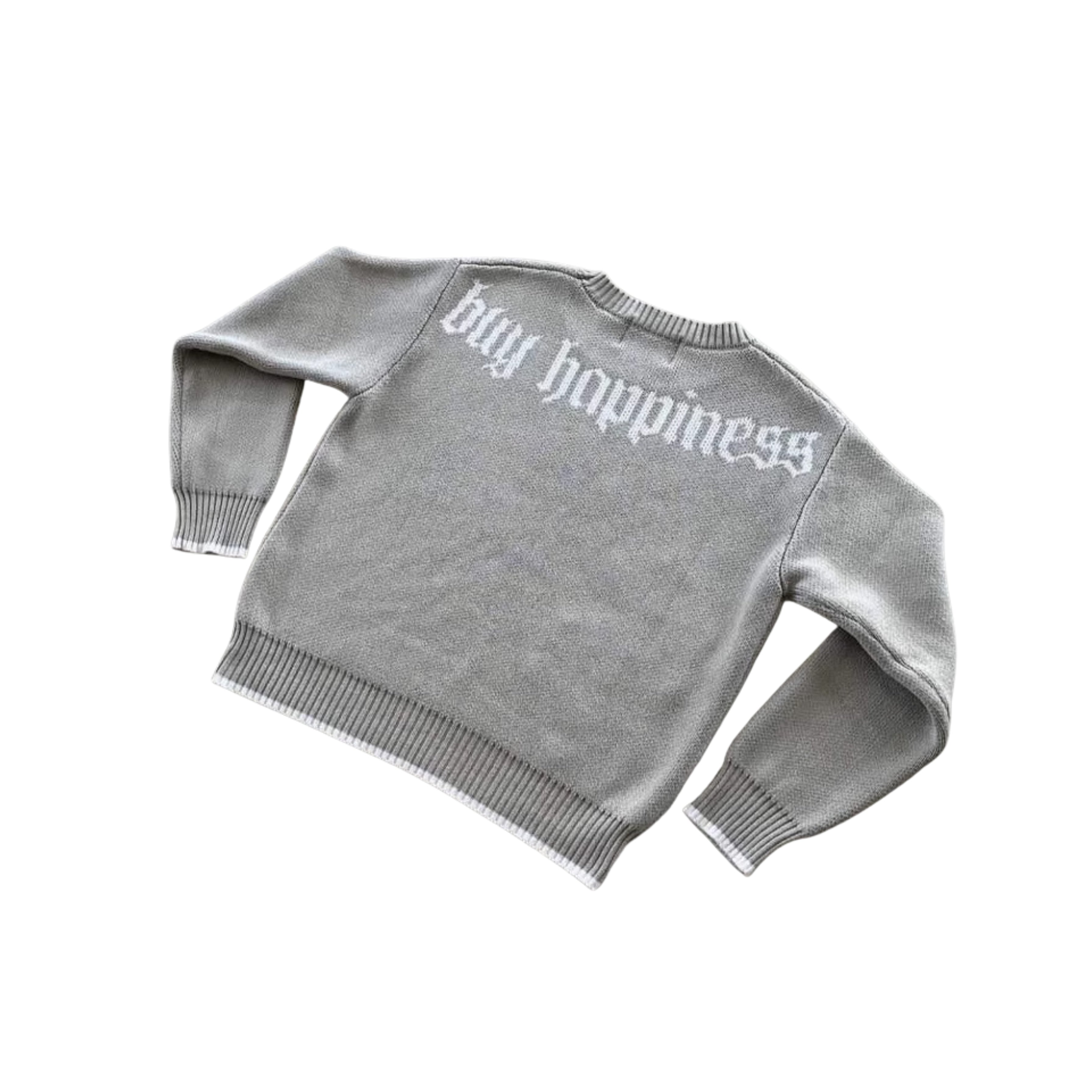 Grauer Strickpullover mit Dollarzeichen & 'Buy Happiness' Botschaft – Bequem & Stylisch